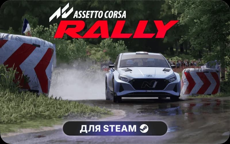 Assetto Corsa Rally