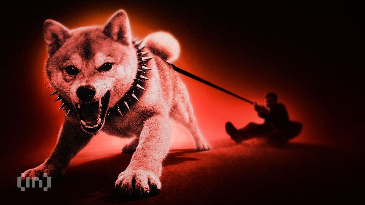 Команда Shiba Inu предупредила трейдеров об опасности