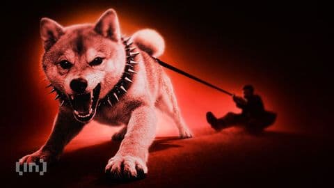 Команда Shiba Inu предупредила трейдеров об опасности