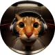 user-avatar